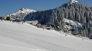 Picswiss SZ-29-44 (2005-12-30)