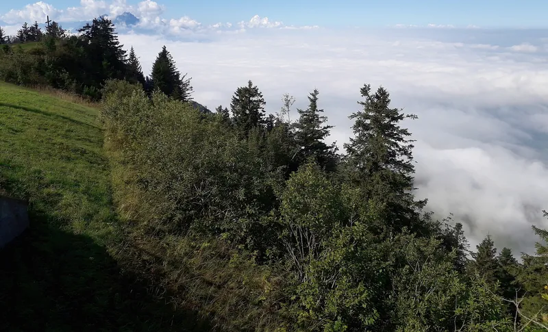 2021091804 Rigibahn (2021-09-18 11:55:54)