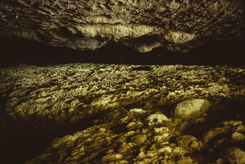 Rigi, Vitznau, Steigelfadbalm with bone finds of the ice-age cave bear (1981)