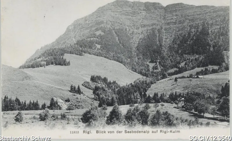 Blick von der Seebodenalp auf Rigi-Kulm (1910)