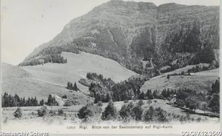 Blick von der Seebodenalp auf Rigi-Kulm (1910)