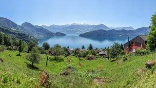 CH.LU.Weggis.Bannholz Lake-Lucerne 16K 16x9-R (2014-06-10 12:54:21)