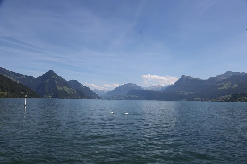 Aussicht zum Vierwaldstättersee von Ennetbürgen (September 2023) (2023-09-02 13:40:14)