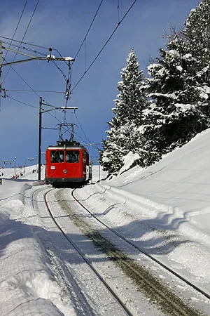 Picswiss SZ-29-52 (2005-12-30)