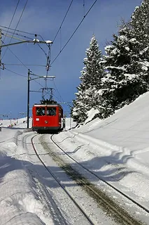 Picswiss SZ-29-52 (2005-12-30)