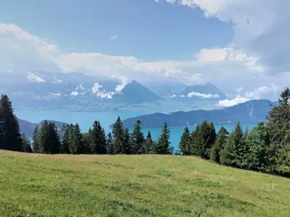 20260718f104642 Rigi Kaltbad (2026-07-18 10:46:43)