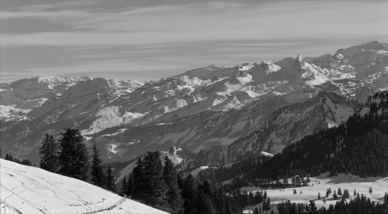 Rigi, winter landscapes (29.01.1991)