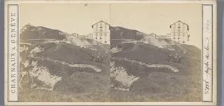 Gezicht op de top van de Rigi, RP-F-F07955 (1869)