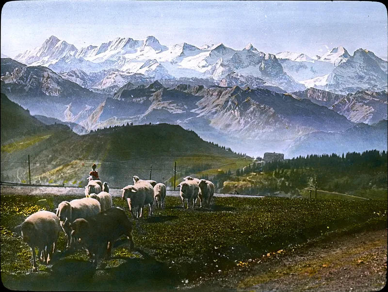 Rigi, Finsteraarhorn, Schreckhorn, Wetterhörner, Mönch, Eiger, view to south-southwest (SSW) (unbekannt)