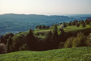 Küssnacht am Rigi, gravel terrace (1983)