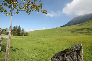 Rigi_Kulm_99