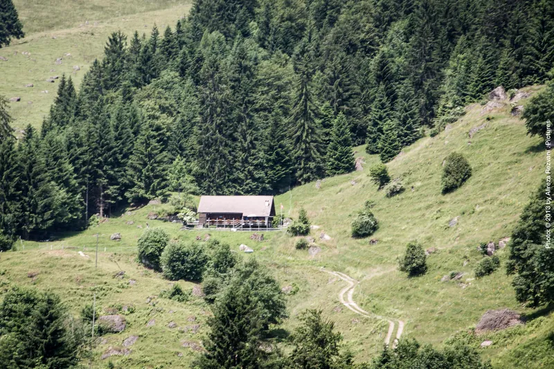 Schweiz Reise Sommer 2013 Ansichten 29 (2013-07-14 12:23:56)