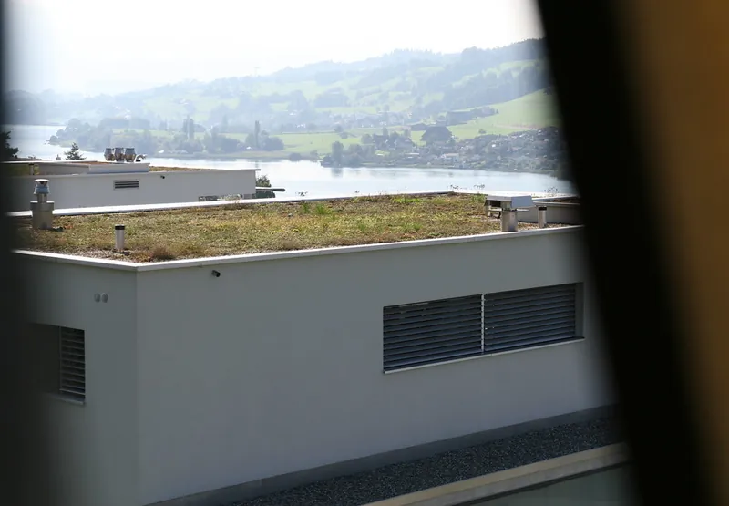 Rigi\_Kulm\_132