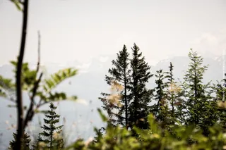 Schweiz Reise Sommer 2013 Ansichten 05 (2013-07-14 13:29:06)