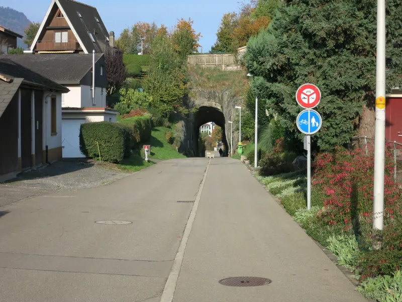 Oberarth Mühlefluhtunnel Ost (2015-10-22 10:10:25)