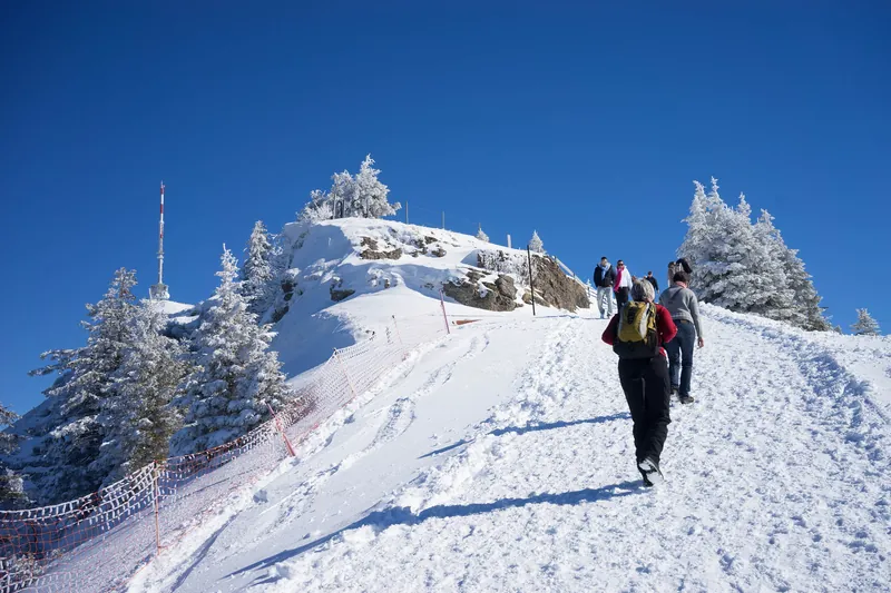 Hiking trail to Rigi-Kulm, Switzerland (Taken on 23 February 2014, 12:56:33)