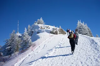 Hiking trail to Rigi-Kulm, Switzerland (Taken on 23 February 2014, 12:56:33)