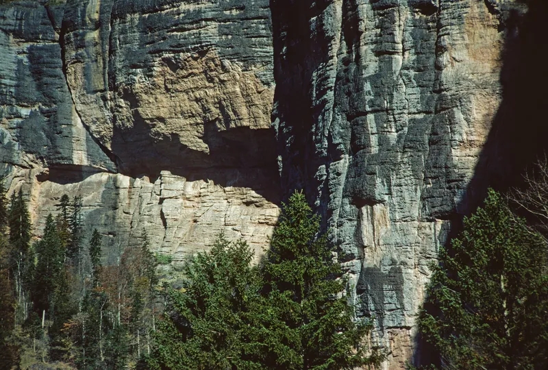Rigi, Vitznau, Rotbalm (1981)