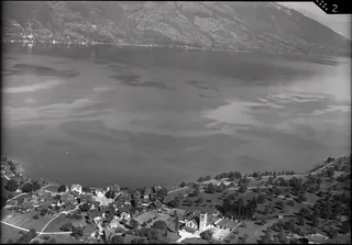 Immensee (1.8.1947)