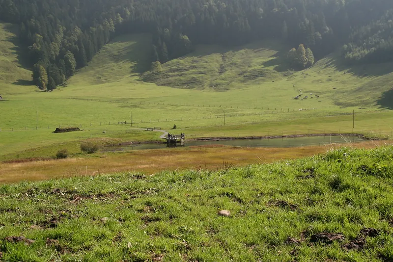 Rigi_Kulm_87
