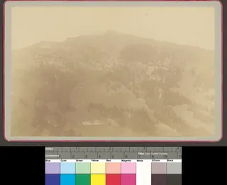Rigi-Kulm vom Schild (1886)
