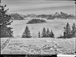 Rigi First, Panorama, Skisport (approx. 1909)