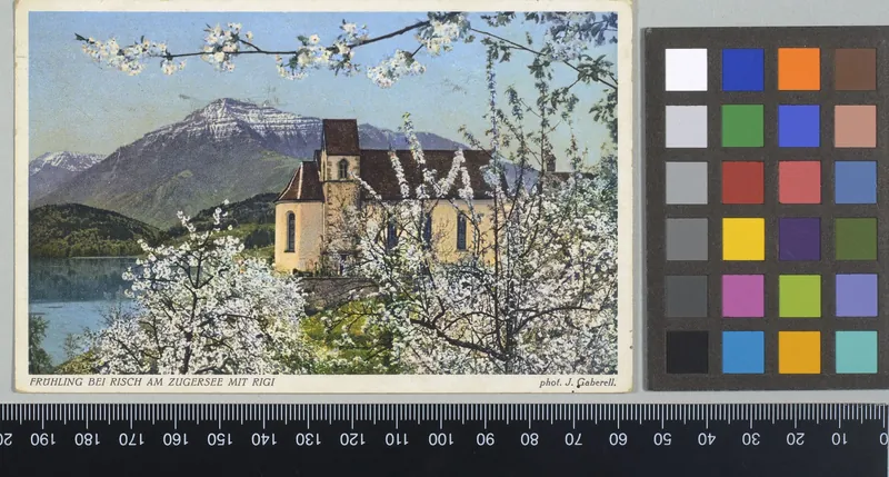Frühling bei Risch am Zugersee mit Rigi (1938)