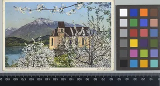 Frühling bei Risch am Zugersee mit Rigi (1938)