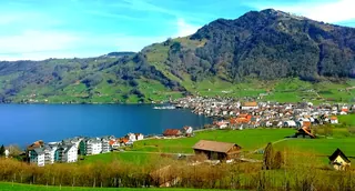 Arth-Goldau from SBB train (2020-02-20 11:40:25)