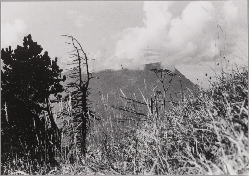 Rigi (21.10.1951)