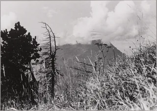 Rigi (21.10.1951)