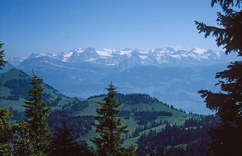 Rigi, shield (1975)