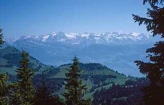 Rigi, shield (1975)