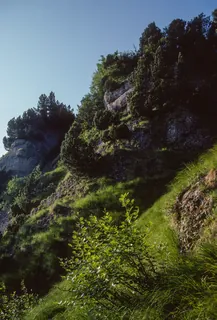 Arth, botanically valuable steep slope on the NE summit slope of the Rigi (1997)