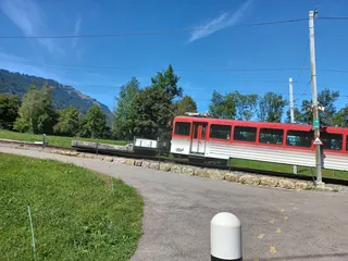 Rack railway Arth-Goldau to Rigi-railway station Kraebel-01ASD (2023-09-04)