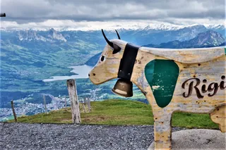 The Rigi cow (2020-05-03 22:15:27)