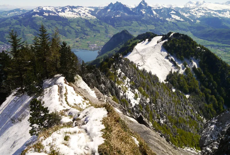 Rigi Hochflue T5- (7215528912) (2012-05-17 10:56)