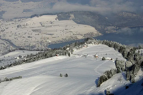 Picswiss SZ-29-58 (2005-12-30)