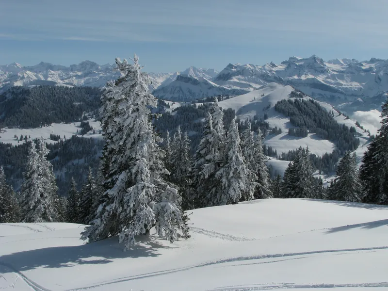 Rigi, below Kulm with Dosse (25.02.2009)