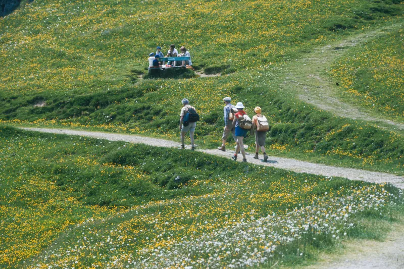 Rigi, Hiking (1974-1978)