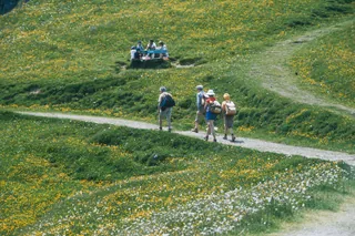 Rigi, Hiking (1974-1978)