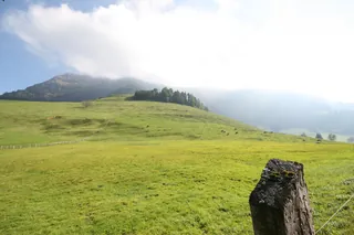 Rigi_Kulm_100
