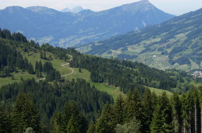 Nuesselstock.SW.Rigi.u.Pilatus (2009-05-30)