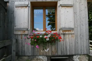 Rigi_Kulm_54