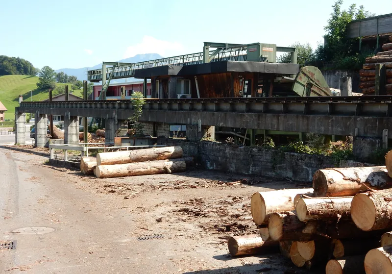 Küssnacht am Rigi, Haltikon, Schillinger Holz (08.09.2015)
