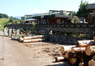 Küssnacht am Rigi, Haltikon, Schillinger Holz (08.09.2015)