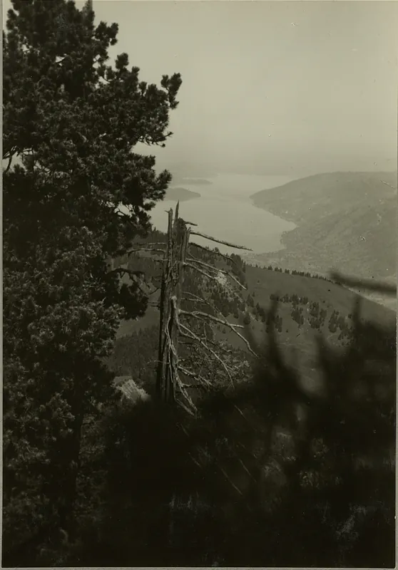 Lake Zug, on the ascent to the Rigi Hochfluh (03.06.1945)