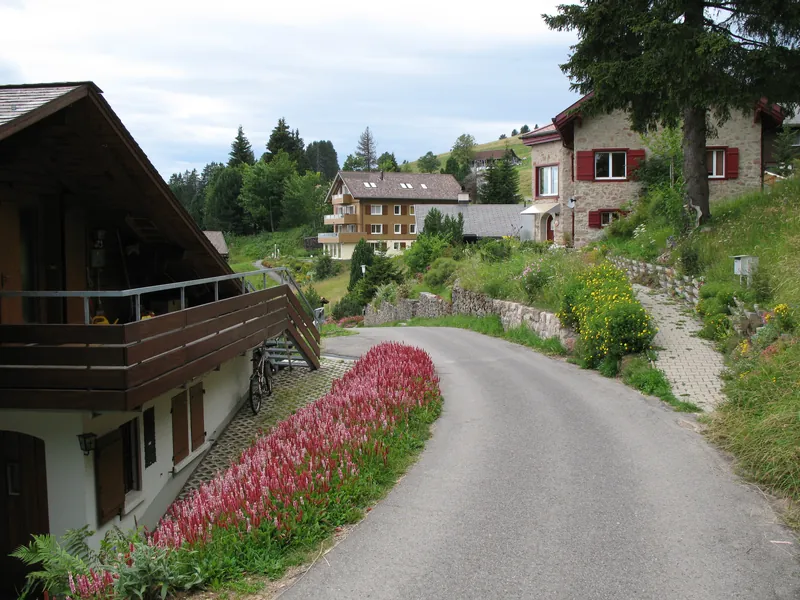 6684 - Rigi Kaltbad (2007-07-29)