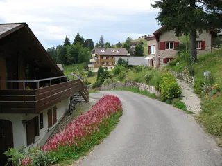 6684 - Rigi Kaltbad (2007-07-29)