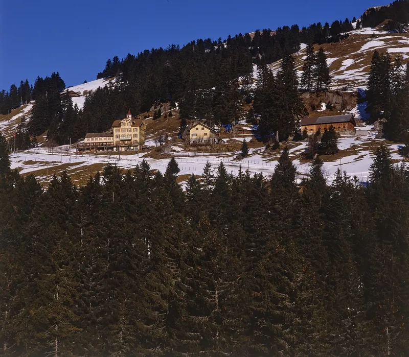 Rigi, Hotel des Alpes (01/1991)